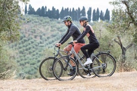 Sightseeing Tuscany by touring bike - 1 day rental 