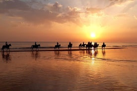 Impresionante paseo por la playa al atardecer ... ¡a caballo!