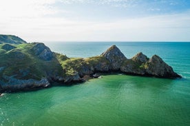 Private Tour: The Gower - Mumbles, Three Cliffs & Worms Head