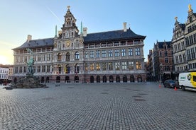 Private Historical Walking Tour in Antwerp City