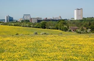 photo of Basingstoke skyline in Hampshire in England.