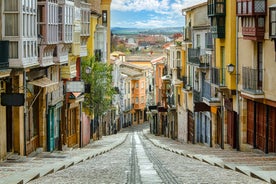 Photo of San Salvador Cathedral of Zamora and acenas (water mills), view from Duero river. Castilla y Leon, Spain.