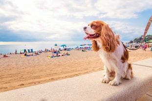 Photo of the famous resort of the Spanish Costa Brava in Lloret de Mar 