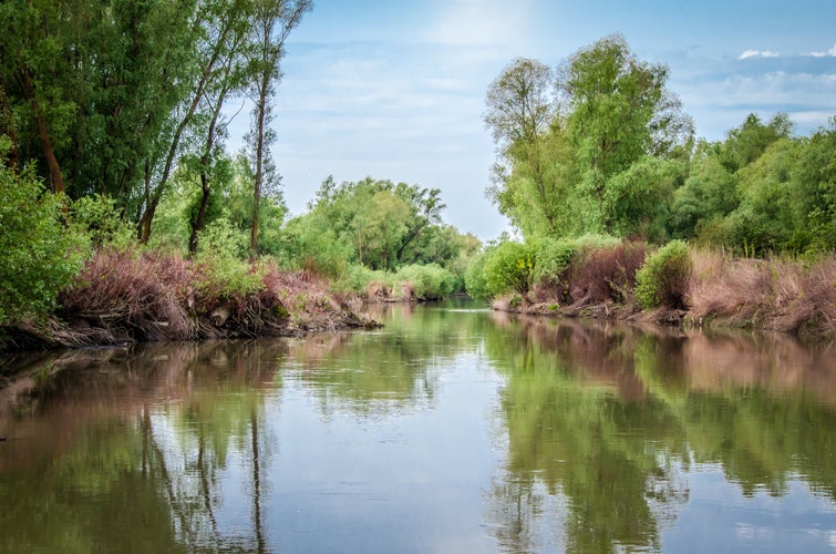 Photo of Danube Delta in Tulcea county, Romania.