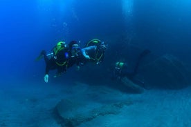 Vila Franca Do Campo: Introduction to Scuba Diving Tour