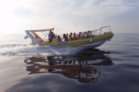 Safari marino en la cueva azul por la tarde