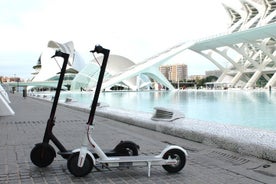 Electric Scooter Rental