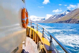 Excursiones en barco desde Siglufjörður