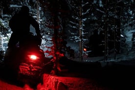 1 Hour and 30 Minutes Snowmobiles Moon Adventure in Zakopane