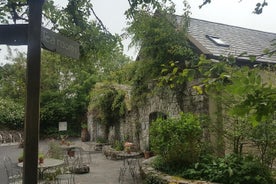 Visite privée d'une journée des falaises de Moher et du Burren au départ de Cork