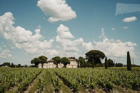 Full-Day Bordeaux Wine Experience with Lunch and Tastings