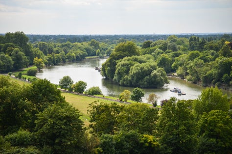 Photo of aerial view of Fields of Richmond park in London, UK.