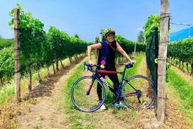 Tour en bicicleta eléctrica por el lago de Como y los viñedos suizos