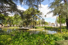 Caldas da Rainha - city in Portugal