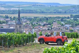 Esperienza Gold Champagne da Reims (tour privato di un'intera giornata)