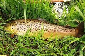 Wild Brown Trout fishing. Lough Corrib. French speaking Ghillie/Guide. Full day.