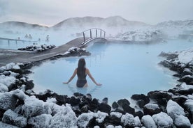 Reykjavik: Golden Circle, Crater & Blue Lagoon Minibus Tour