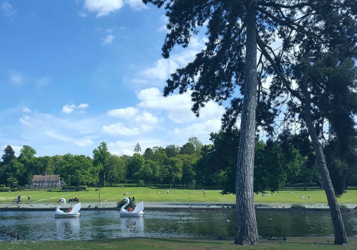 Cannon Hill Park.jpg