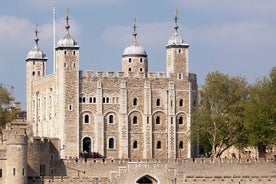 London Private Walking Tour: The Tower of London and Tower Bridge