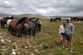 Fjórhjóla- og villihestasafari í heilan dag í Livno frá Split