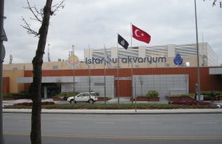 Istanbul Aquarium