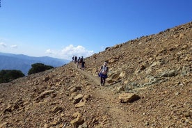 Troodos-Wanderung (Artemis + / Myllomeris-Wasserfälle) - privat - von Larnaca