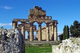 Paestum & Buffalo Farm Tour from Sorrento