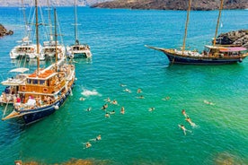 Santorini Volcano, Hot Springs, and Oia Sunset Tour