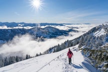 Steibis ski trips
