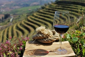 Tour della Valle del Douro che include 3 cantine per piccoli gruppi