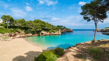 Photo of the famous orange tram runs from Soller to Port de Soller, Mallorca, Spain.