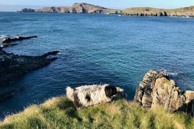 Nombres de lugares y sus asombrosas historias: incluye un picnic en West Cork