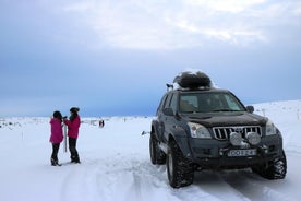  Mývatn og öflug Dettifoss dagsferð frá Akureyri