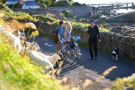 Ilha do ciclo Inishbofin. Connemara, Galway. Autoguiado. Dia inteiro.