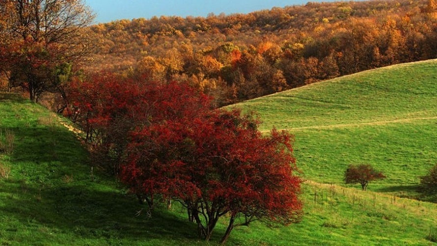 best-places-to-visit-in-autumn-in-serbia.jpg