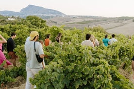 Prova de vinhos, azeites e mel, de Alcamo e C/mmare Golfo