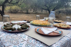 Heraklion: excursão pela fazenda de azeitonas e frutas de dragão e brunch de agricultores cretenses