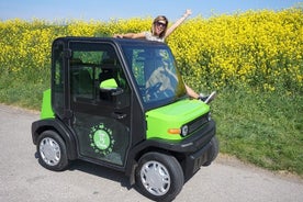 E-car por un día! Salida única a prueba de corona para toda la familia