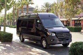 Privévertrek van de stad Bodrum naar Bodrum Airport BJV per minibus