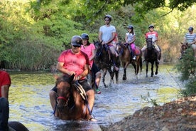 Fethiye Horse Riding - Instructor profesional y caballos amigables