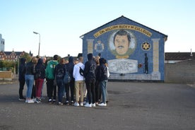 Los problemas, los murales, la historia y los muros de la paz: recorrido en taxi de 2 horas