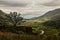 National Trust - Carneddau and Glyderau, Llandygai, Gwynedd, Wales, United Kingdom