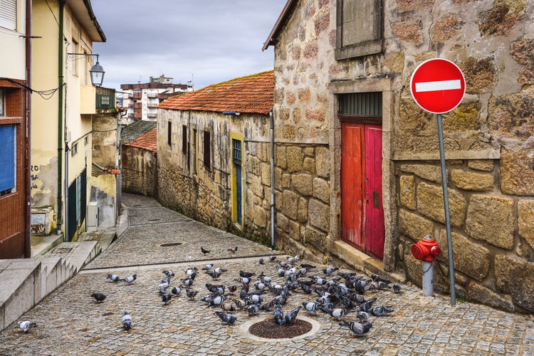 Photo of Vila Nova de Gaia, Portugal alley scene with pigeons.