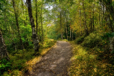 Photo of Trail leading to Rogie Falls, Highlands, Scotland .
