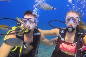 Côté: Expérience de plongée sous-marine