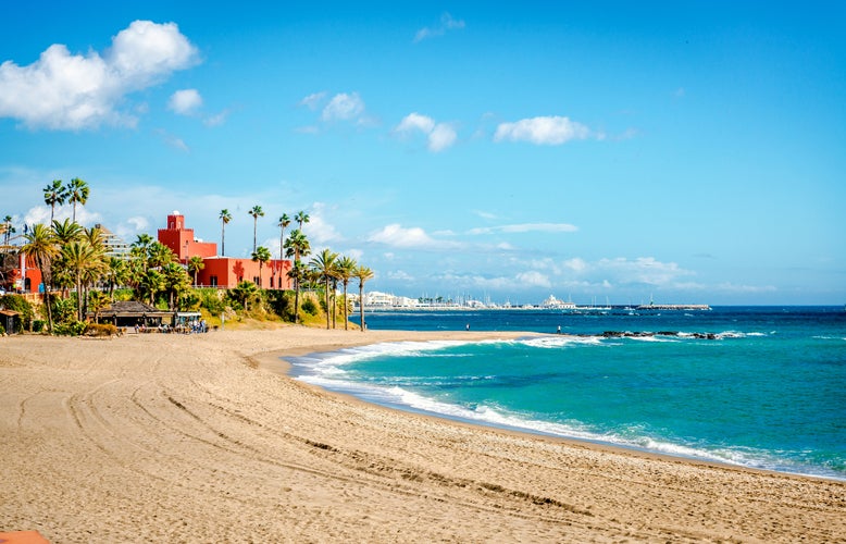 Photo of palm tree on sandy beach and Bil Bil Castle on coast skyline. Málaga, Andalusia. Spain.