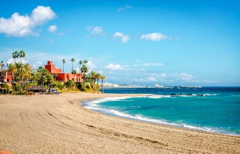 Photo of palm tree on sandy beach and Bil Bil Castle on coast skyline. Málaga, Andalusia. Spain.