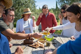 Hálfs dags Languedoc vín- og ólífuferð fyrir smáhópa frá Montpellier