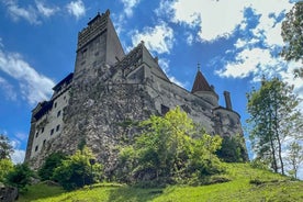 Brasov: Bran Castle, Bear Sanctuary, Rasnov (Peles Optional)