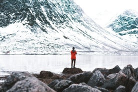 Arctic Fjord Sightseeing by Minibus